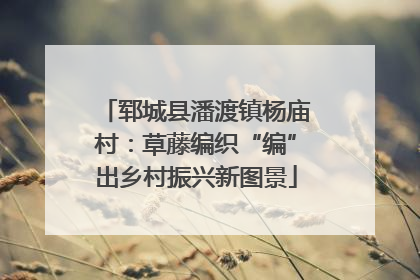 郓城县潘渡镇杨庙村：草藤编织“编”出乡村振兴新图景
