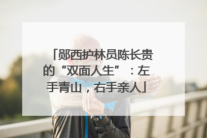 郧西护林员陈长贵的“双面人生”：左手青山，右手亲人