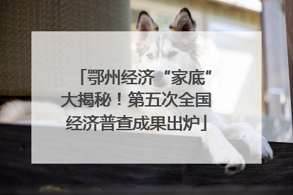 鄂州经济“家底”大揭秘！第五次全国经济普查成果出炉