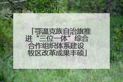 鄂温克族自治旗推进“三位一体”综合合作组织体系建设 牧区改革成果丰硕