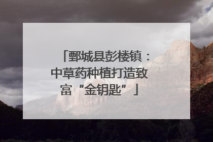 鄄城县彭楼镇：中草药种植打造致富“金钥匙”