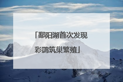 鄱阳湖首次发现彩鹮筑巢繁殖