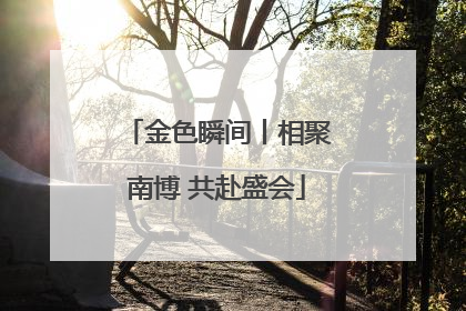 金色瞬间丨相聚南博 共赴盛会
