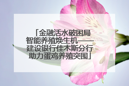 金融活水破困局 智能养殖焕生机——建设银行佳木斯分行助力蛋鸡养殖突围