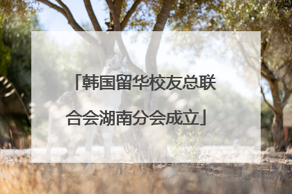 韩国留华校友总联合会湖南分会成立
