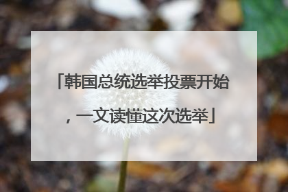 韩国总统选举投票开始，一文读懂这次选举