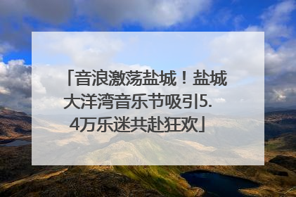 音浪激荡盐城！盐城大洋湾音乐节吸引5.4万乐迷共赴狂欢