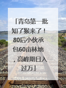 青岛第一批知了猴来了！80后小伙承包60亩林地，高峰期日入过万