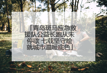 青岛斑马应急救援队公益长跑从未停歇 七载坚守绘就城市温暖底色