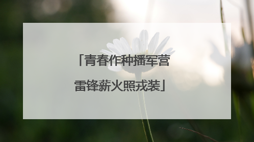 青春作种播军营 雷锋薪火照戎装