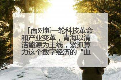 面对新一轮科技革命和产业变革，青海以清洁能源为主线，紧抓算力这个数字经济的“血液”、科技主权的“筹码”、产业升级的“杠杆”、绿色转型的“支点”，勇于撬动国家“双碳”战略、“东数西算”工程重大发展新机遇