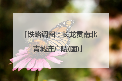 铁路调图：长龙贯南北 青城连广陵(图)