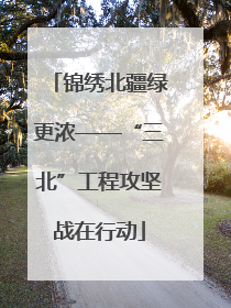 锦绣北疆绿更浓——“三北”工程攻坚战在行动