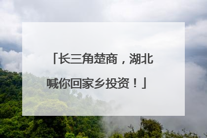 长三角楚商，湖北喊你回家乡投资！