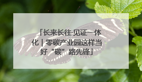 长来长往·见证一体化｜零碳产业园这样当好“碳”路先锋