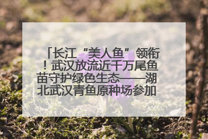 长江“美人鱼”领衔！武汉放流近千万尾鱼苗守护绿色生态——湖北武汉青鱼原种场参加2025年“全国放鱼日”增殖放流活动