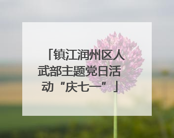 镇江润州区人武部主题党日活动“庆七一”