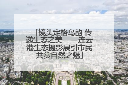 镜头定格鸟韵 传递生态之美——连云港生态摄影展引市民共赏自然之魅