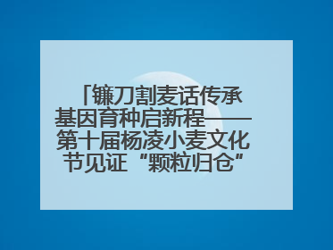 镰刀割麦话传承 基因育种启新程——第十届杨凌小麦文化节见证“颗粒归仓”时空跨越