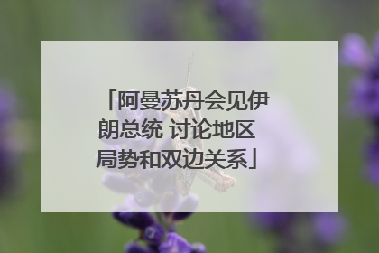 阿曼苏丹会见伊朗总统 讨论地区局势和双边关系