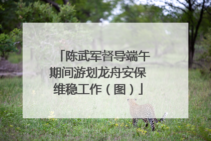 陈武军督导端午期间游划龙舟安保维稳工作（图）
