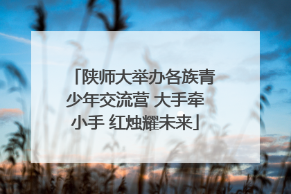 陕师大举办各族青少年交流营 大手牵小手 红烛耀未来