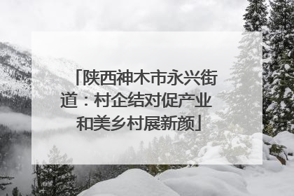 陕西神木市永兴街道：村企结对促产业 和美乡村展新颜