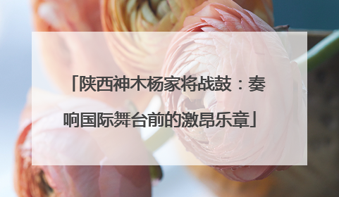 陕西神木杨家将战鼓：奏响国际舞台前的激昂乐章