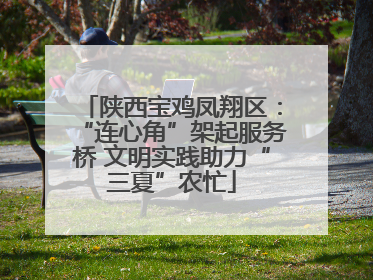 陕西宝鸡凤翔区：“连心角”架起服务桥 文明实践助力“三夏”农忙