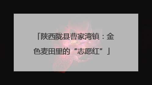 陕西陇县曹家湾镇：金色麦田里的“志愿红”
