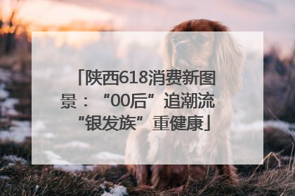 陕西618消费新图景：“00后”追潮流 “银发族”重健康