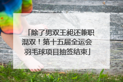 除了男双王昶还兼职混双！第十五届全运会羽毛球项目抽签结束