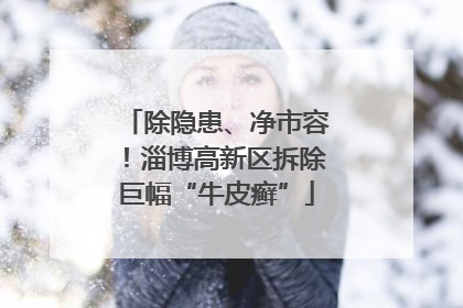 除隐患、净市容！淄博高新区拆除巨幅“牛皮癣”