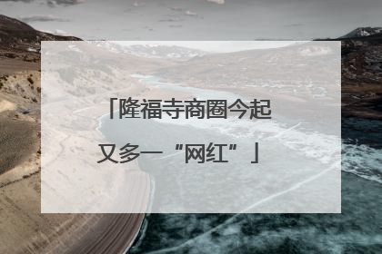 隆福寺商圈今起又多一“网红”