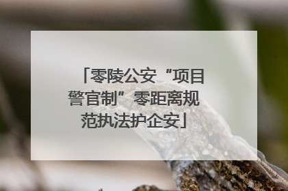 零陵公安“项目警官制”零距离规范执法护企安