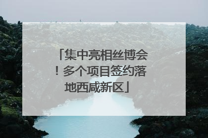 集中亮相丝博会！多个项目签约落地西咸新区