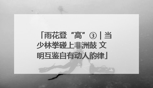 雨花登“高”③｜当少林拳碰上非洲鼓 文明互鉴自有动人韵律