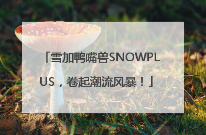 雪加鸭嘴兽SNOWPLUS，卷起潮流风暴！