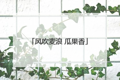 风吹麦浪 瓜果香
