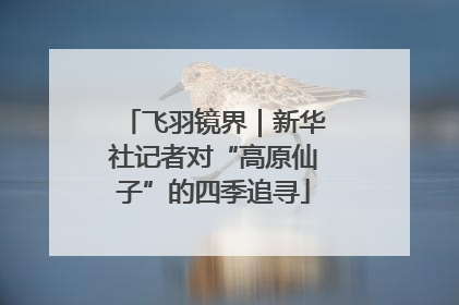 飞羽镜界｜新华社记者对“高原仙子”的四季追寻