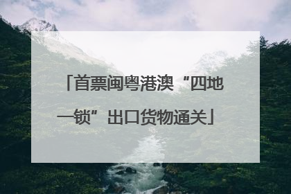 首票闽粤港澳“四地一锁”出口货物通关
