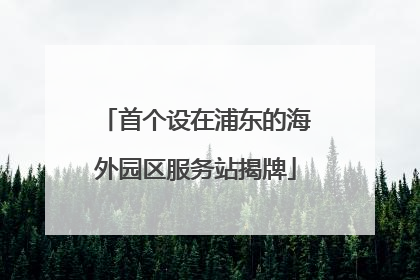 首个设在浦东的海外园区服务站揭牌