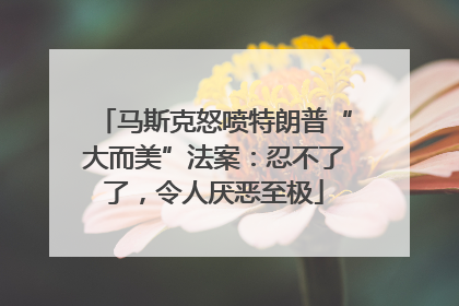 马斯克怒喷特朗普“大而美”法案：忍不了了，令人厌恶至极