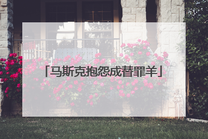 马斯克抱怨成替罪羊