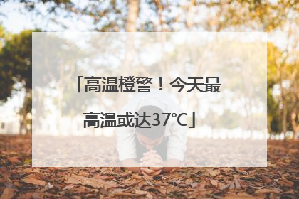 高温橙警！今天最高温或达37℃