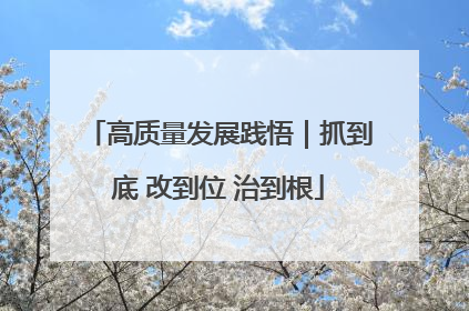 高质量发展践悟｜抓到底 改到位 治到根