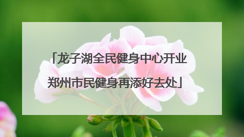 龙子湖全民健身中心开业 郑州市民健身再添好去处