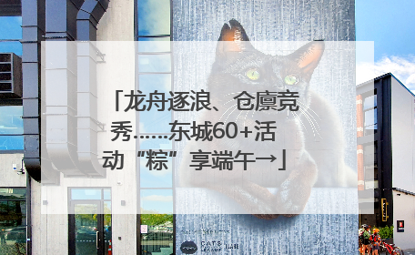 龙舟逐浪、仓廪竞秀……东城60+活动“粽”享端午→