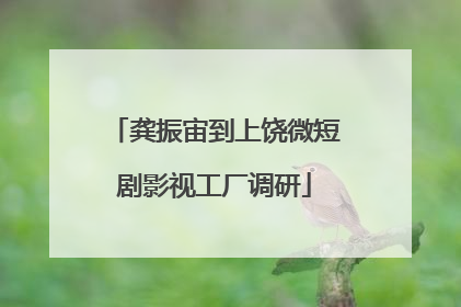 龚振宙到上饶微短剧影视工厂调研