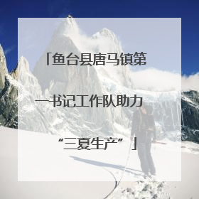 鱼台县唐马镇第一书记工作队助力“三夏生产”